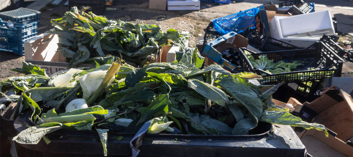 FAO experts assess the risk of antimicrobial resistance spreading via food loss and waste